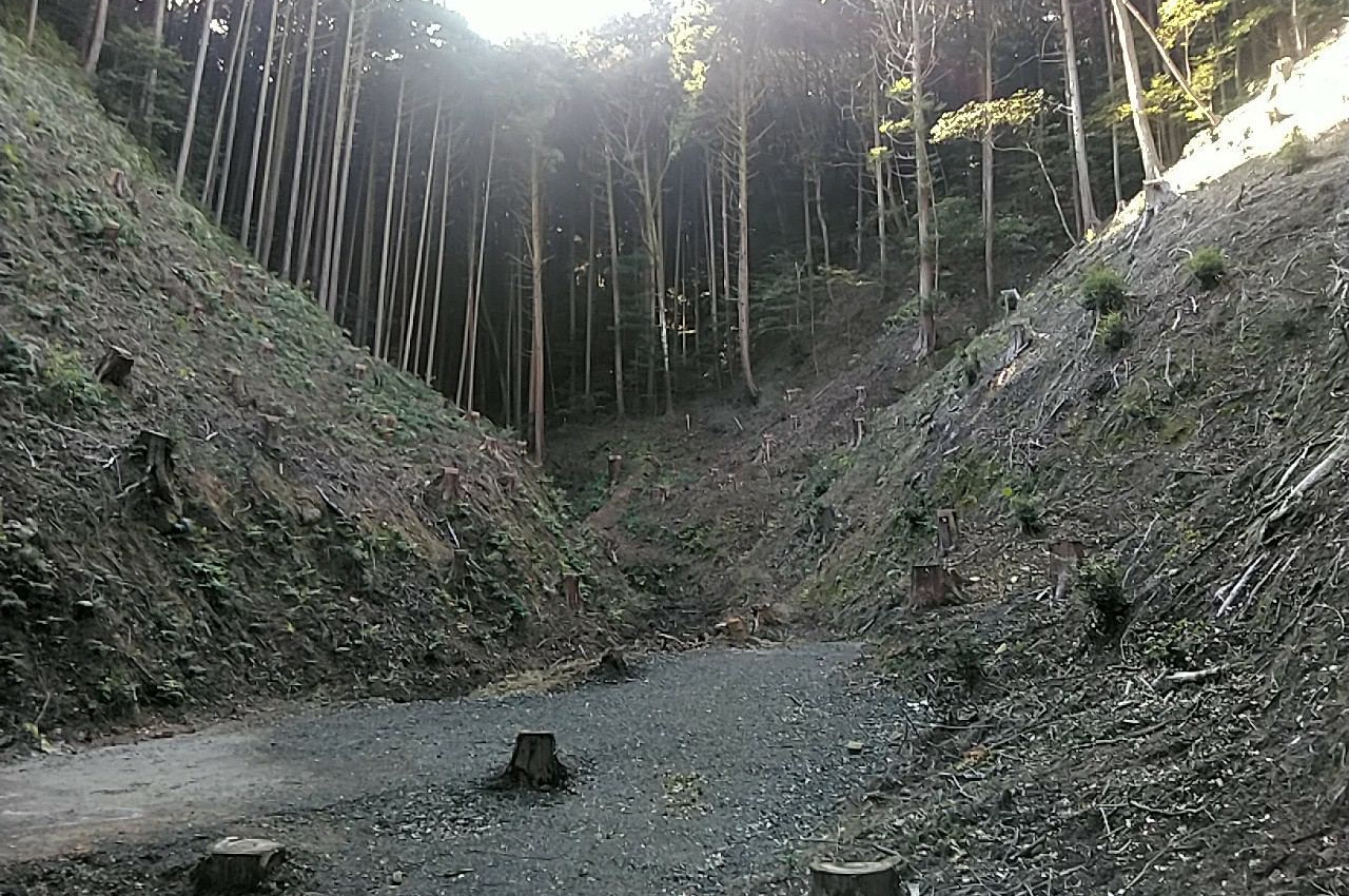 二級河川　金熊寺川　河道掘削工事（R1幡代橋上流）